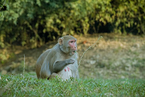 Obtenez votre devis d'assurance dommage ouvrage en 3 minutes