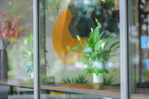 Les raisons d'opter pour un panneau solaire photovoltaïque